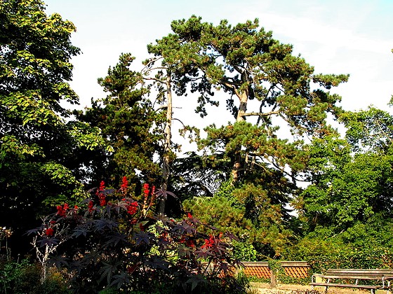 Giardino Botanico Zurigo GessnerGarten Zürich